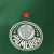 Imagen de Palmeiras 2025/2026 Local