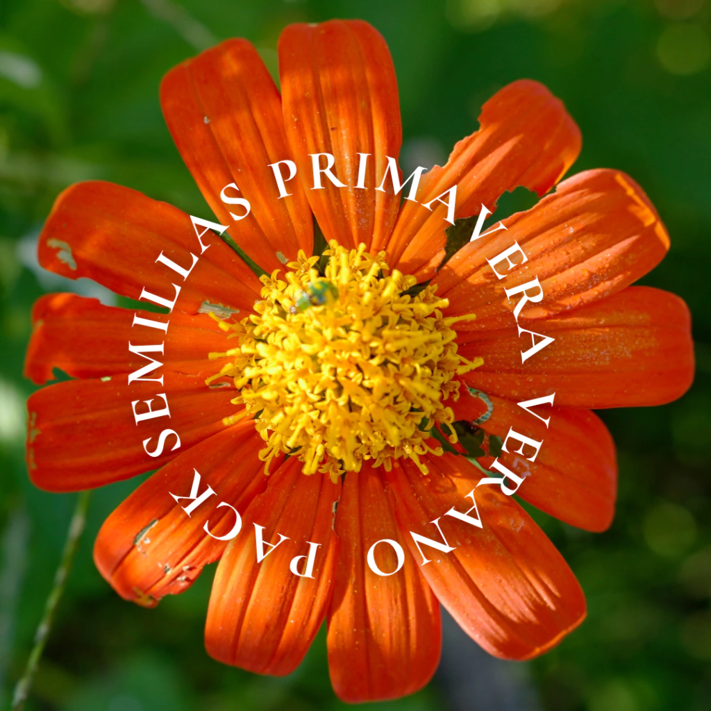 PACK JARDÍN PRIMAVERA VERANO