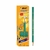 LÁPIZ BIC EVOLUTION "VERDE" X DOCENA
