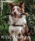 Banner de Mali Pet Store