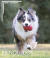 Banner de Mali Pet Store