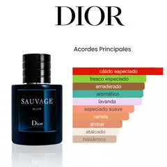 DUO DE FRAGANCIAS: ERBA PURA + SAUVAGE DIOR - OFERTA 2X1! - Raizen Shop