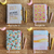 Box - Nuevas Ideas - comprar online