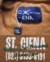 Ciena Lab® Pocket T-Shirt (Brown) [Size M] - VANGARMENTS