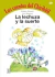 La lechuza y la suerte