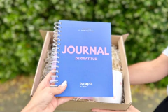 Combo BOX Journal de Gratitud y Journal para la Ansiedad (Anillado) en internet
