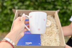 Combo BOX Journal de Gratitud en internet