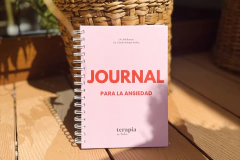 Journal de Ansiedad anillado en internet