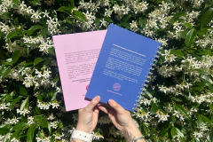 Pack Journal de Gratitud y Journal para la Ansiedad - ANILLADO en internet