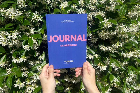 Journal de Gratitud - comprar online