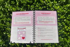 Journal de Ansiedad anillado - tienda online