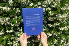 Journal de Gratitud en internet