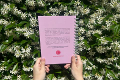 Journal de Ansiedad anillado en internet