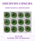 Adesivos Inspeção EPA - Verificado e aprovado - Concha - comprar online