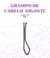 Grampo de cabelo gigante - Sonora Store