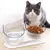 Tigela Ortopédica PetConfort – alimentação mais confortável e saudável para seu pet! 