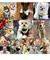 Imagem do BeePet Set: Colete e Trela Cartoon para Pets