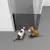 FujaNão Pet™ – Portão Retrátil de Segurança Antifuga para Cães