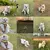 BeePet Set: Colete e Trela Cartoon para Pets - loja online