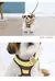 BeePet Set: Colete e Trela Cartoon para Pets na internet