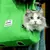 Bolsa pet com tecido respirável e macio, perfeita para evitar estresse em passeios e ambientes públicos | Frete grátis | Superama
