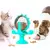 Roda Pet™ – Alimentador Lento Interativo com Giro 360º para Gatos e Cães - comprar online