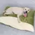 Ninho Canguru Pet – Caminha Saco de Dormir com Sherpa Super Aconchegante