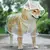 Capa de chuva impermeável com capuz para cães - loja online
