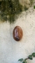 Peitinho 4