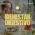 GUÍA BIENESTAR DIGESTIVO
