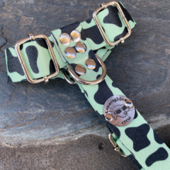 KIT PRINT VERDE - tienda online