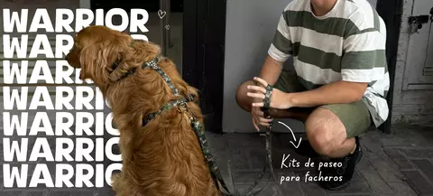 Carrusel Consentidoscrew