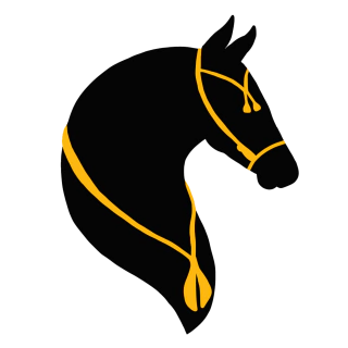 Traias BCintra