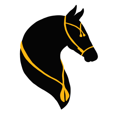 Traias BCintra