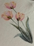 Tshirt Flores com pedraria OffWhite - comprar online