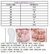 Sandália OrtoBaby Flat Rosa - TUTTI BABY & KIDS - Roupa Social Infantil 