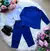 Conjunto Miss Cherry Social Terno - Blaizer Azul Royal Gabriel na internet