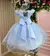 Vestido Marie Jardim Encantado Azul Bebê na internet