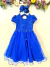 Vestido Infantil Azul Royal Jardim Encantado C/ Renda Festas (4610AE) - comprar online