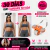 Rueda Doble Abdominal Inteligente + Mini Mat + eBook de Regalo - tienda online