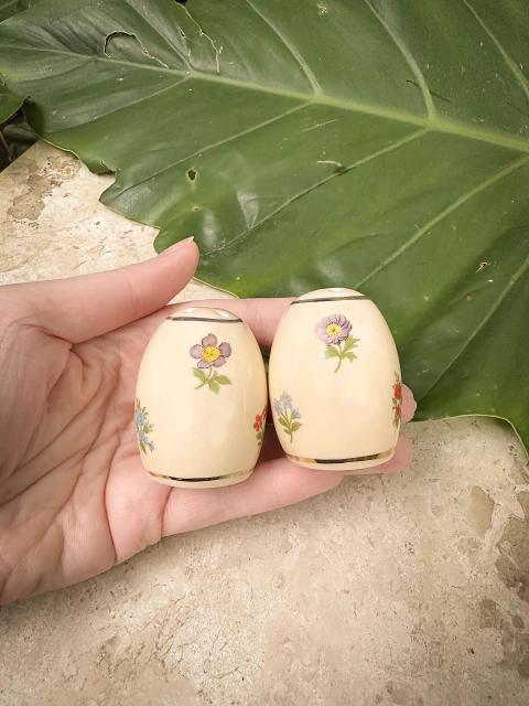 Conjunto Saleiro salmão - comprar online