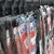 Cubre Alfombras Vapren Renault Fluence - comprar online