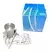 Bomba Agua Ford Focus Fiesta Motor Sigma 1.6 16v Skf en internet