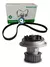 Kit Distribución C/bba Skf+termostato Stilo Y Palio 1.8 8v - Taller Smyra