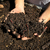 TASTY - INÓCULO DE COMPOST BIO-COMPLETO en internet
