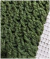 Cachecol Tricô Masculino Verde Musgo Escuro - Casabonitaartesanato Materiais para artesanato