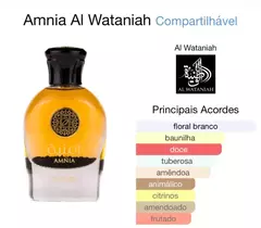 Amnia Al Wataniah - Lu Cosméticos e perfumaria LTDA