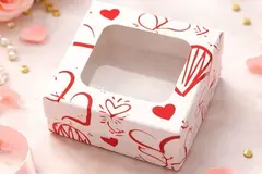 CAJA 10X10X5 CON VISOR CUADRADO