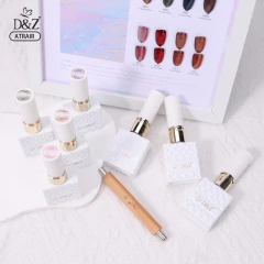 Caixa Coleção Esmaltes Olho de Gato Magnetico + Imã + Brinde Mostruário