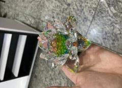 Flor de lótus para fotos - Dhy Unhas